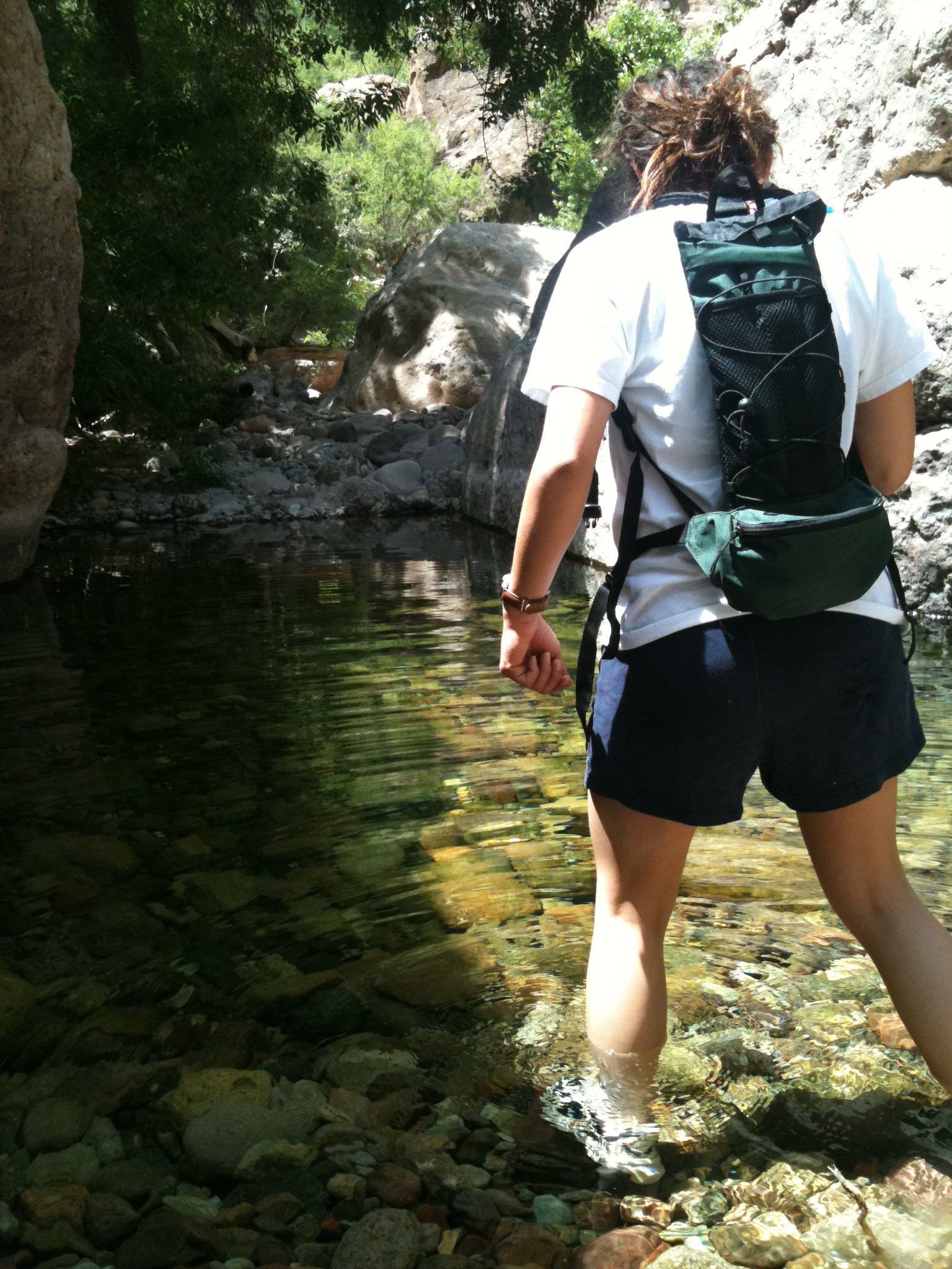 $2 Adventure – Fish Creek AZ – Some Tips!