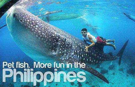 More Fun in the Philippines