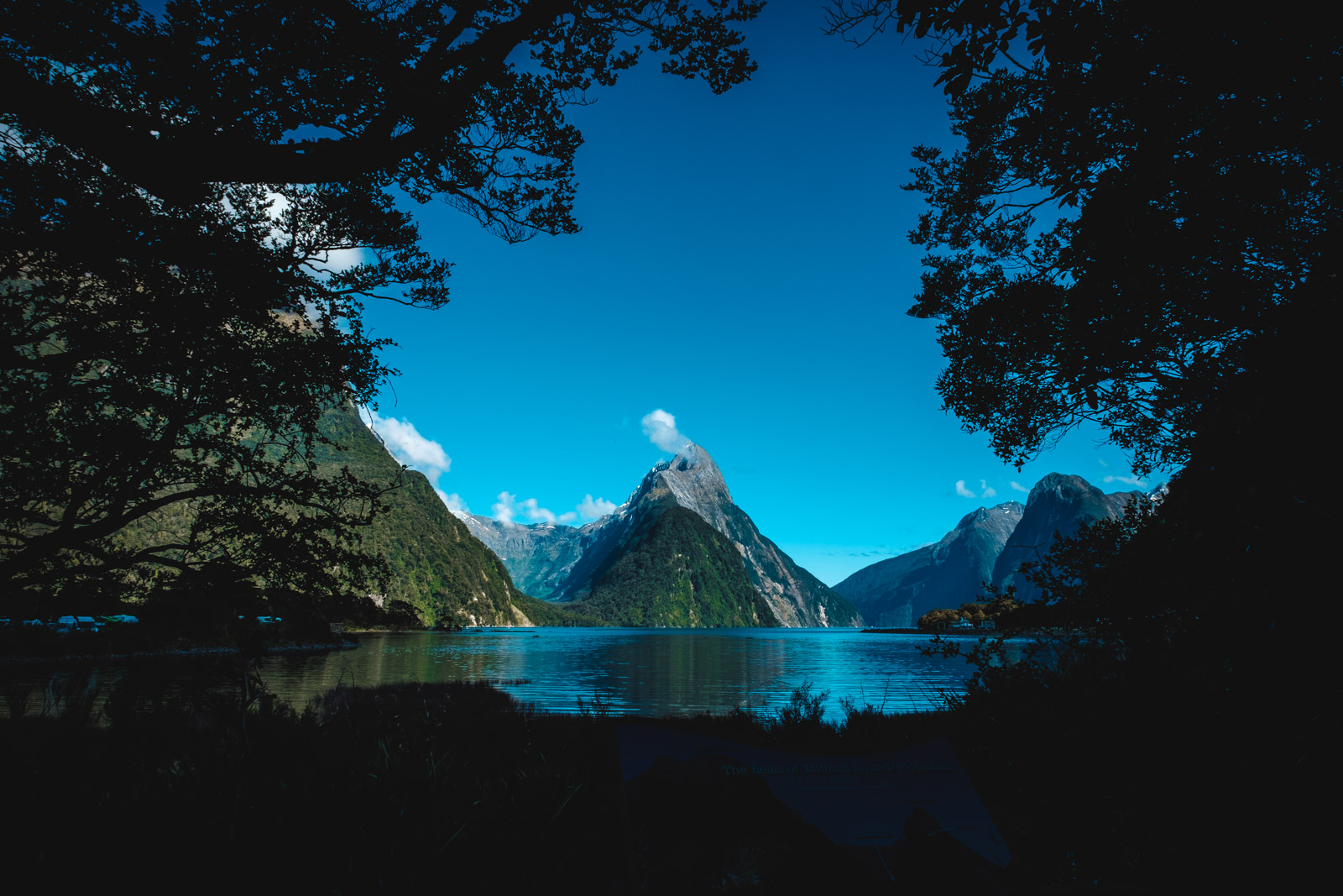 Feast Your Eyes on Milford Sound